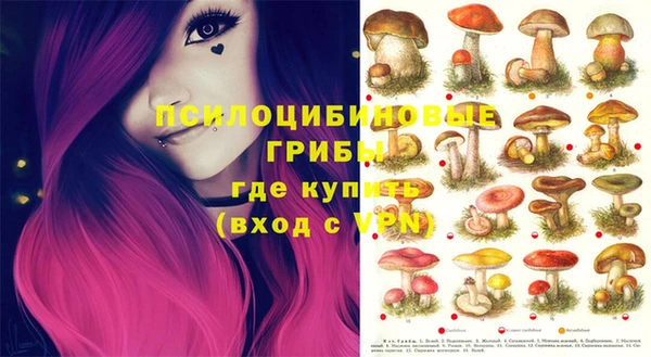 мдпв Абинск