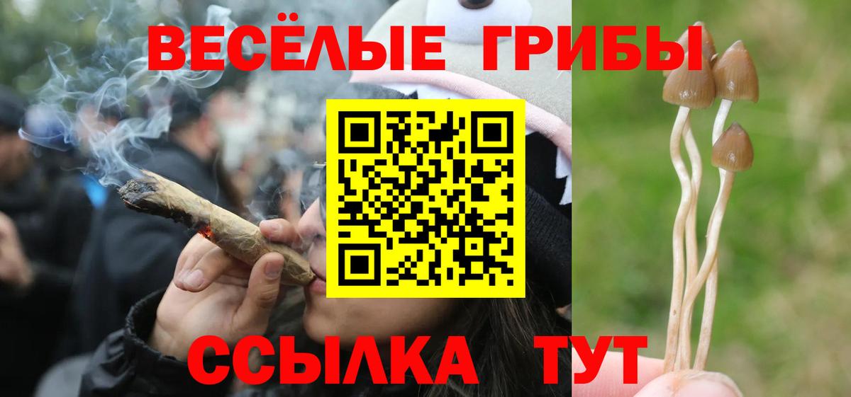 Галлюциногенные грибы ЛСД  Вход с VPN  Новосибирск 