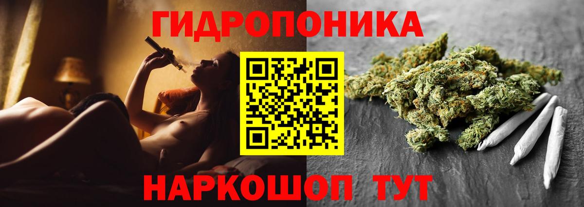 Новосибирск  Конопля конопля  Вход с VPN  Конопля сатива  Бошки марихуана план 